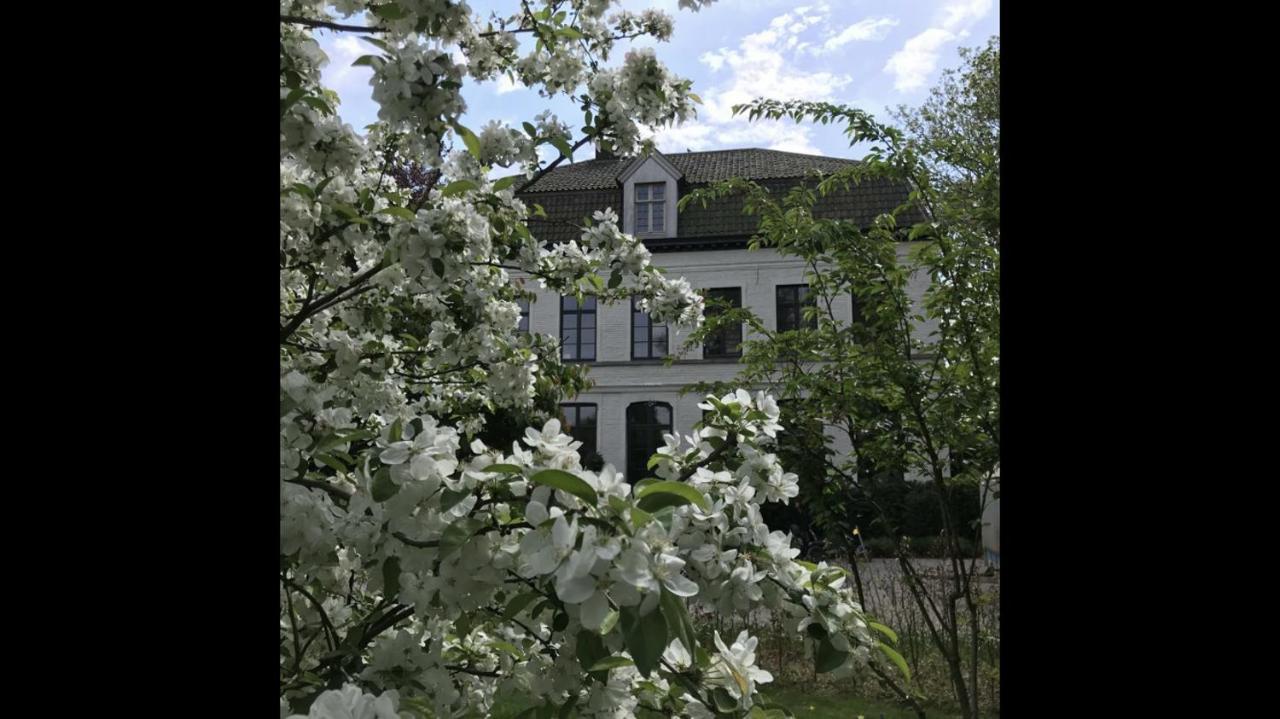 Kanegem Pastorie Caeneghem B&B 외부 사진